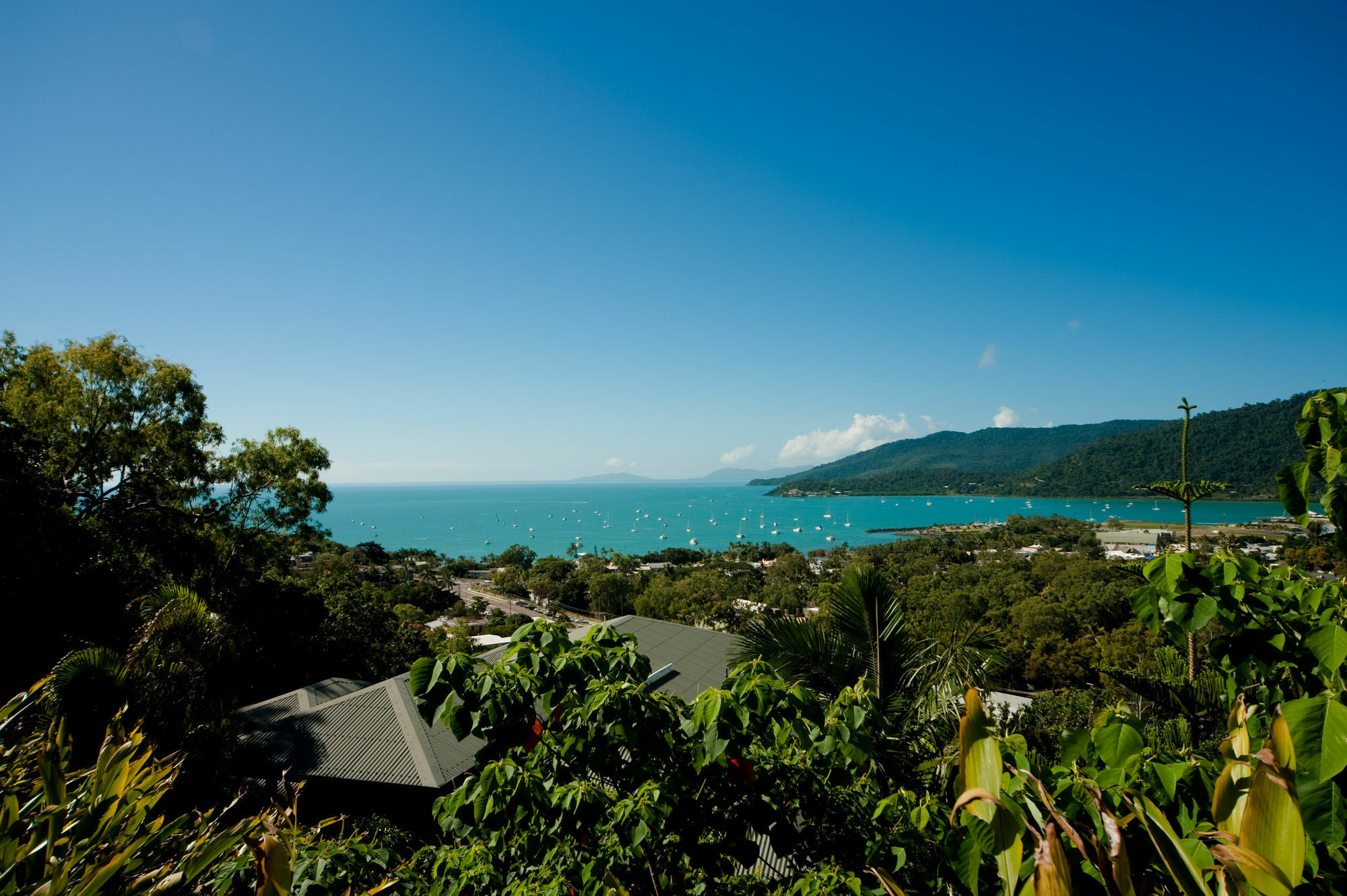 Sea Star Apartments Airlie Beach Dış mekan fotoğraf